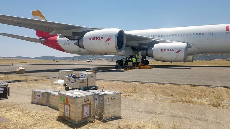 Avión Airbus A340 utilizado en las pruebas del proyecto AVIATOR